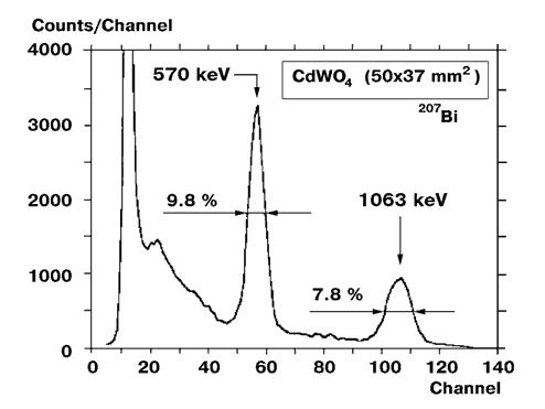 Gamma spectrum of 207-Bi with CWO crystal scintillator